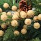 Gold Beaded Berry Spray: Set of 12, 17-Inch, with 25 Berries by Floral Home®, Floral Home by Artificial Flowers